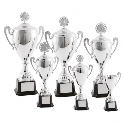 6 silver trophies trophy in different sizes
